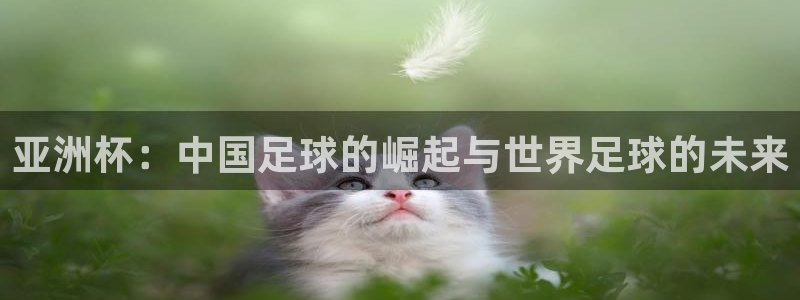 世界杯欧洲预选赛赛程：亚洲杯：中国足球的崛起与世界足球的未来