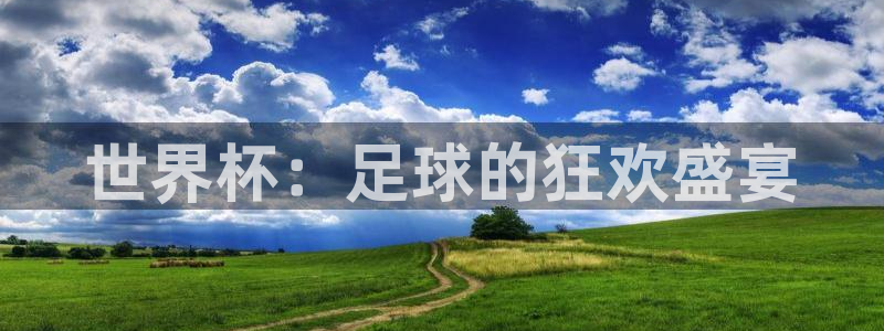 2026世界杯对阵图：世界杯：足球的狂欢盛宴