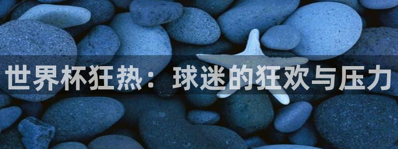 世界杯足球赛2026赛程时间：世界杯狂热：球迷的狂欢与压力