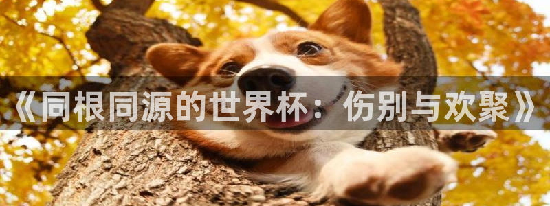 葡萄牙世界杯赛程：《同根同源的世界杯：伤别与欢聚》