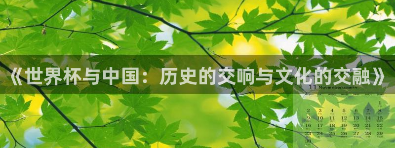 免费看足球直播比赛：《世界杯与中国：历史的交响与文化的交融》
