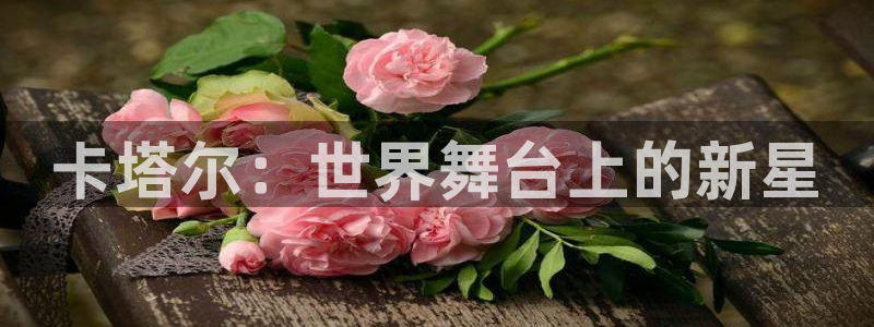 世界杯决赛预测：卡塔尔：世界舞台上的新星