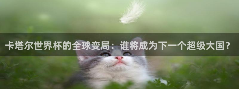 世界杯决赛预测：卡塔尔世界杯的全球变局：谁将成为下一个超级大国？