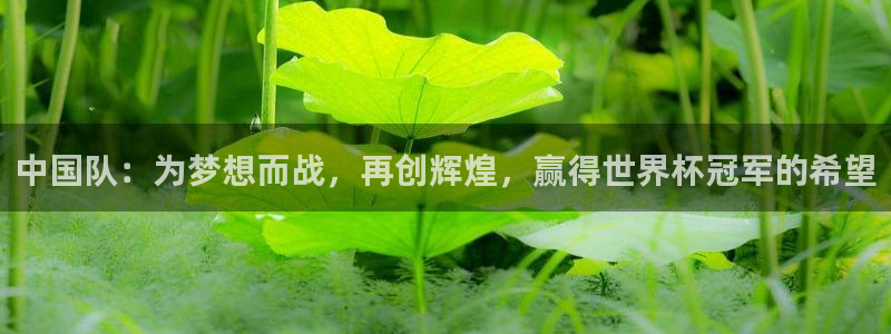 预选赛世界杯：中国队：为梦想而战，再创辉煌，赢得世界杯冠军的希望