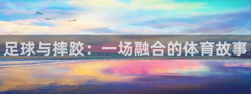 2006年世界杯冠军：足球与摔跤：一场融合的体育故事