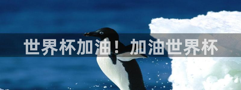 世界杯球队：世界杯加油！加油世界杯