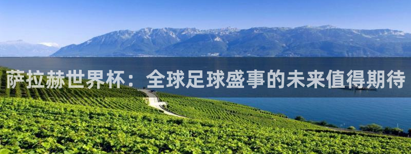 2026世预赛赛程：萨拉赫世界杯：全球足球盛事的未来值得期待