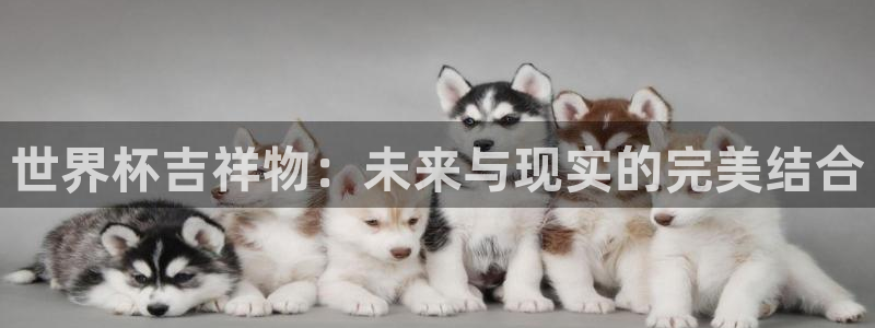 2026世界杯德国队阵容：世界杯吉祥物：未来与现实的完美结合