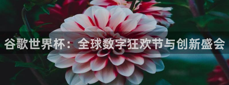世界杯 直播：谷歌世界杯：全球数字狂欢节与创新盛会