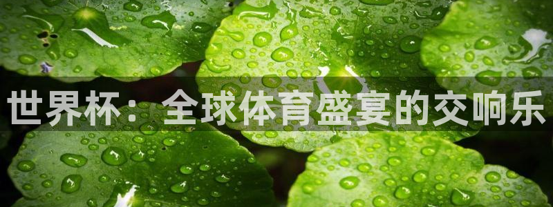 世界杯时间：世界杯：全球体育盛宴的交响乐