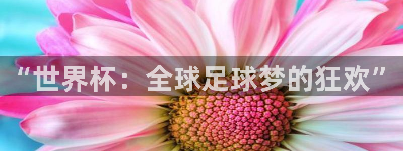世界杯2026赛程表：“世界杯：全球足球梦的狂欢”