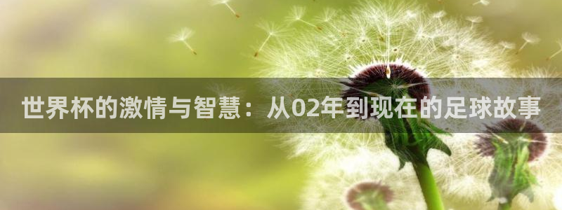 亚洲杯比赛直播：世界杯的激情与智慧：从02年到现在的足球故事